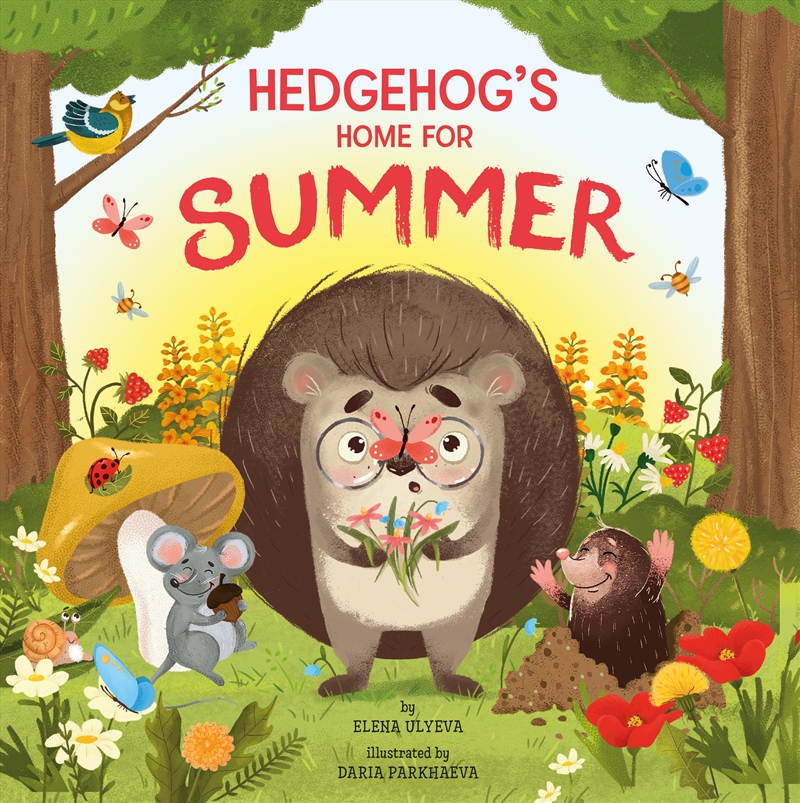 Hedgehog's Home for Summer (Clever Storytime)/Product Detail/Early Childhood Fiction Books