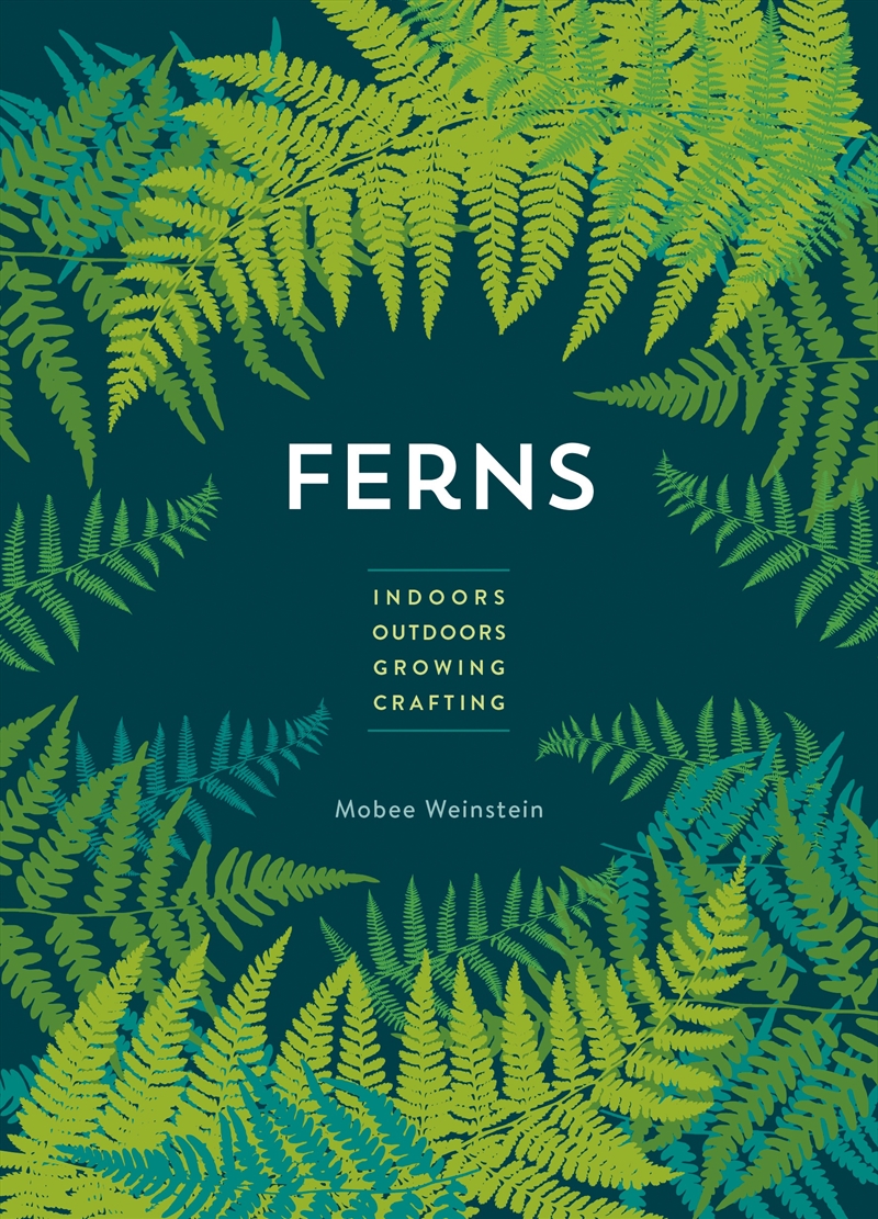 Ferns (mini)/Product Detail/Gardening