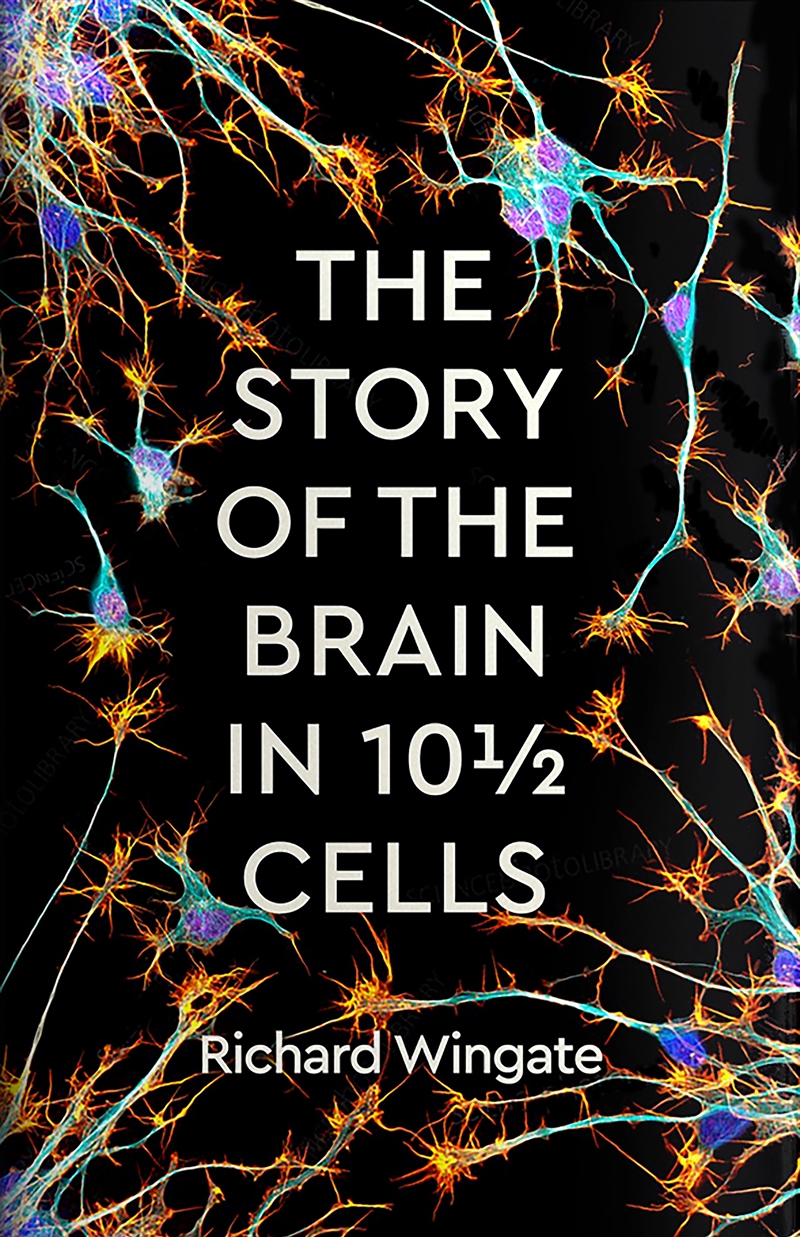 The Story of the Brain in 10 1/2 Cells/Product Detail/Family & Health