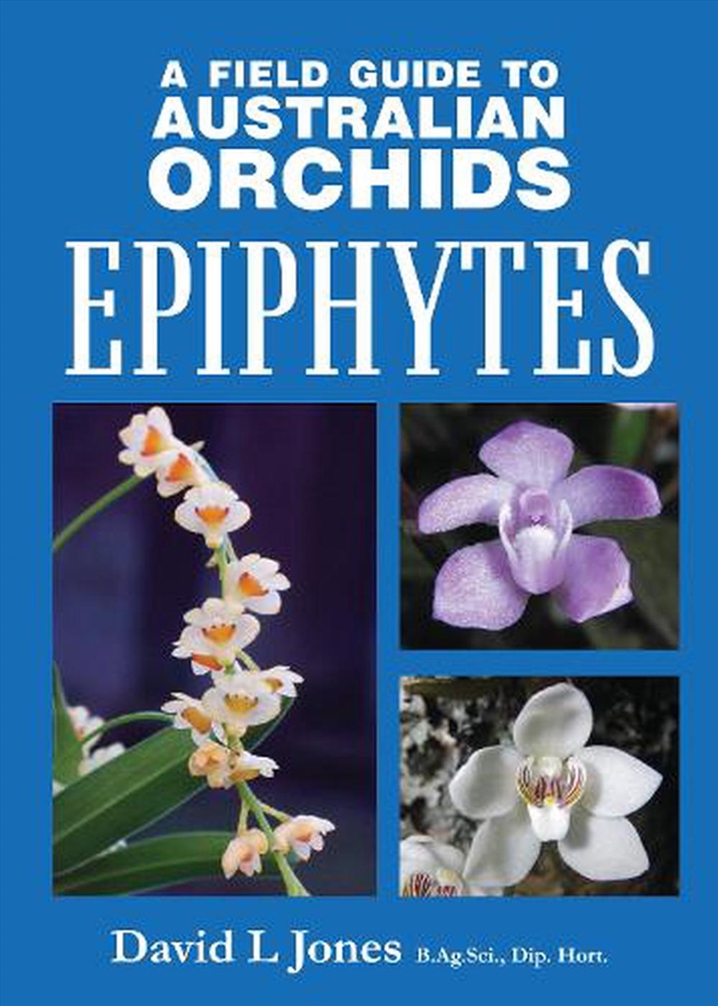 A FG to Australian Orchids Epiphytes/Product Detail/Gardening