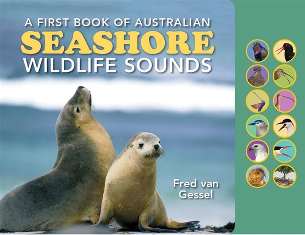 A First Book Of Aust Seashore W/Life Sou/Product Detail/Animals & Nature