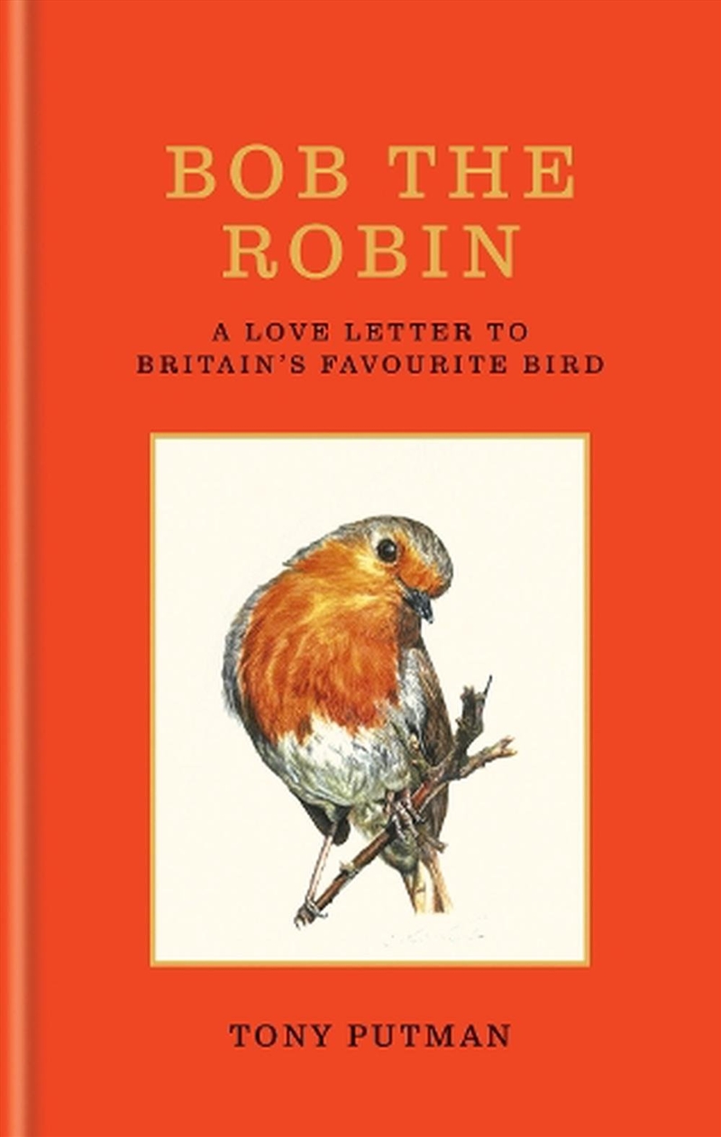 Bob the Robin/Product Detail/Animals & Nature