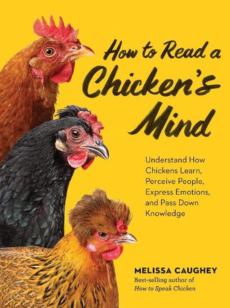 How to Read a Chicken's Mind/Product Detail/Animals & Nature