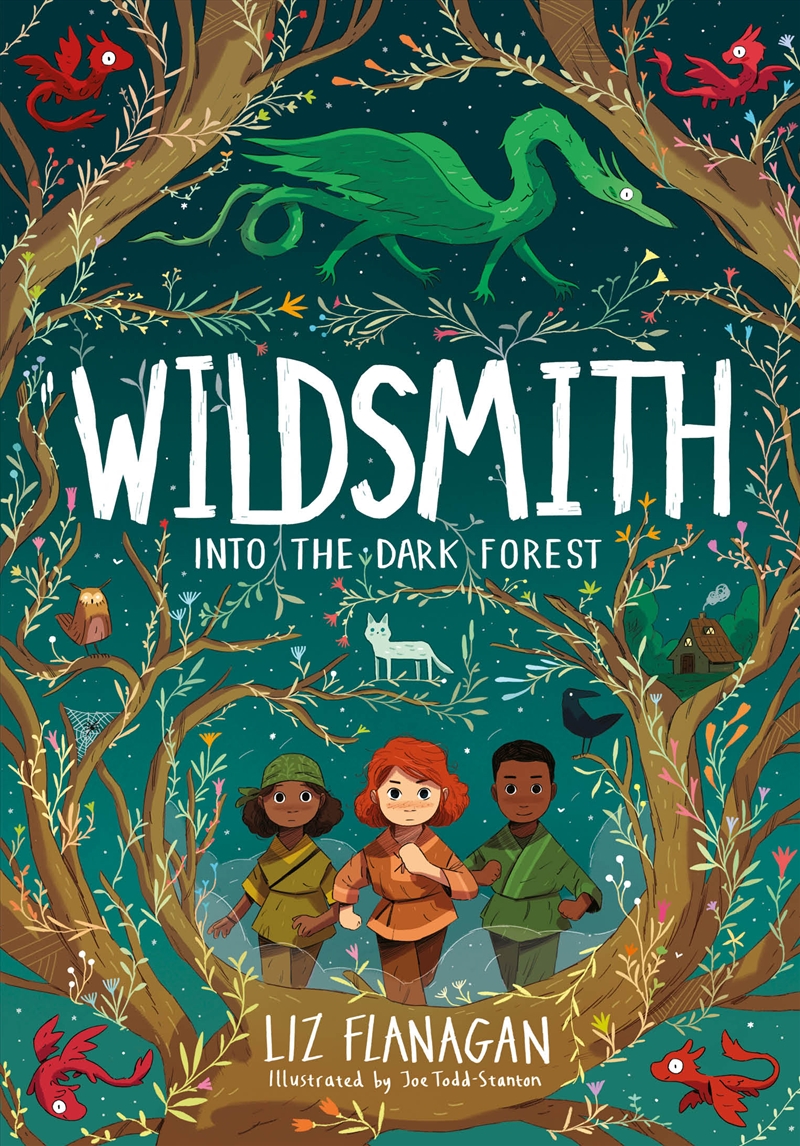 Wildsmith: Into the Dark Forest/Product Detail/Childrens Fiction Books