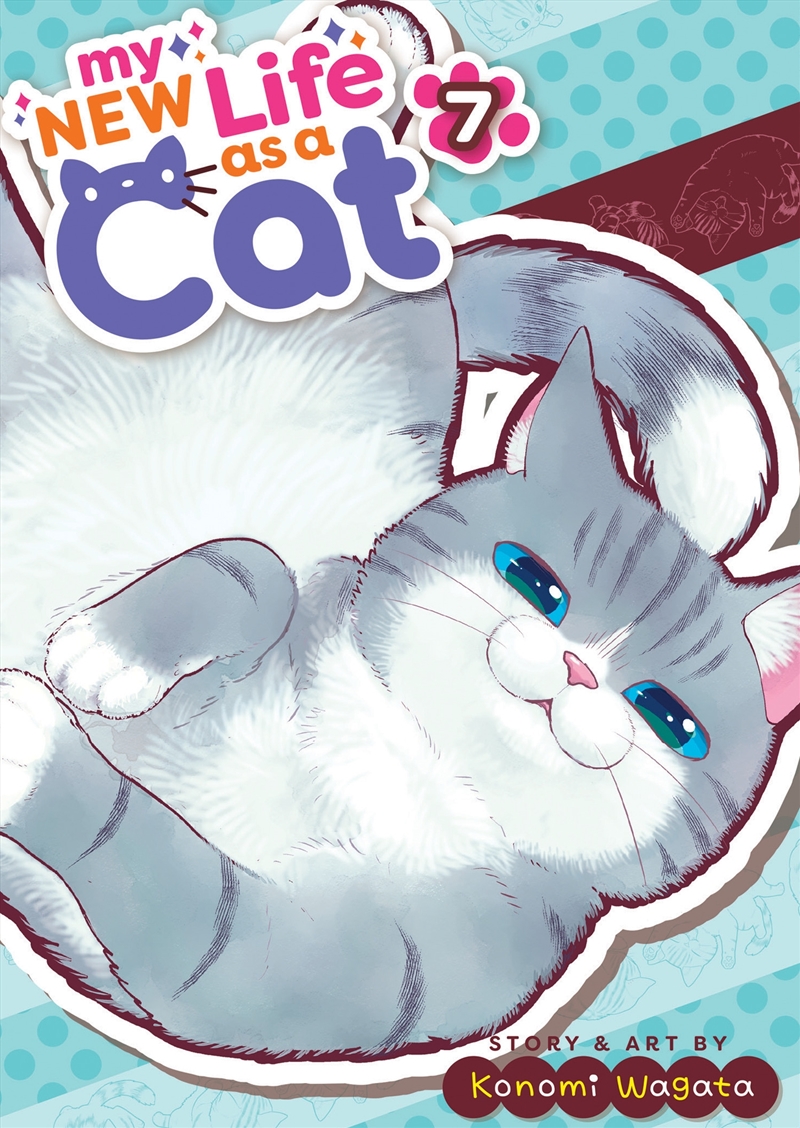 My New Life as a Cat Vol. 7/Product Detail/Graphic Novels