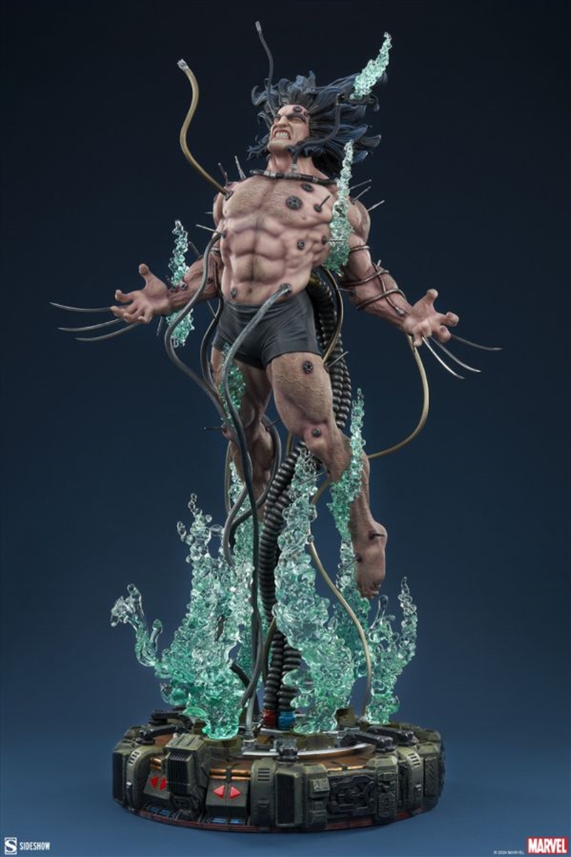 X-Men - Wolverine: Weapon X Premium Format Statue/Product Detail/Statues