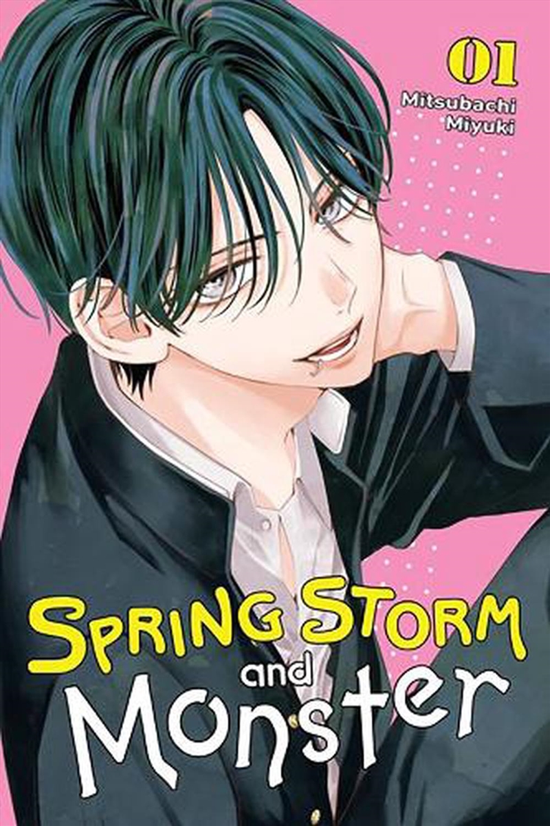 Spring Storm & Monster Vol 1/Product Detail/Graphic Novels