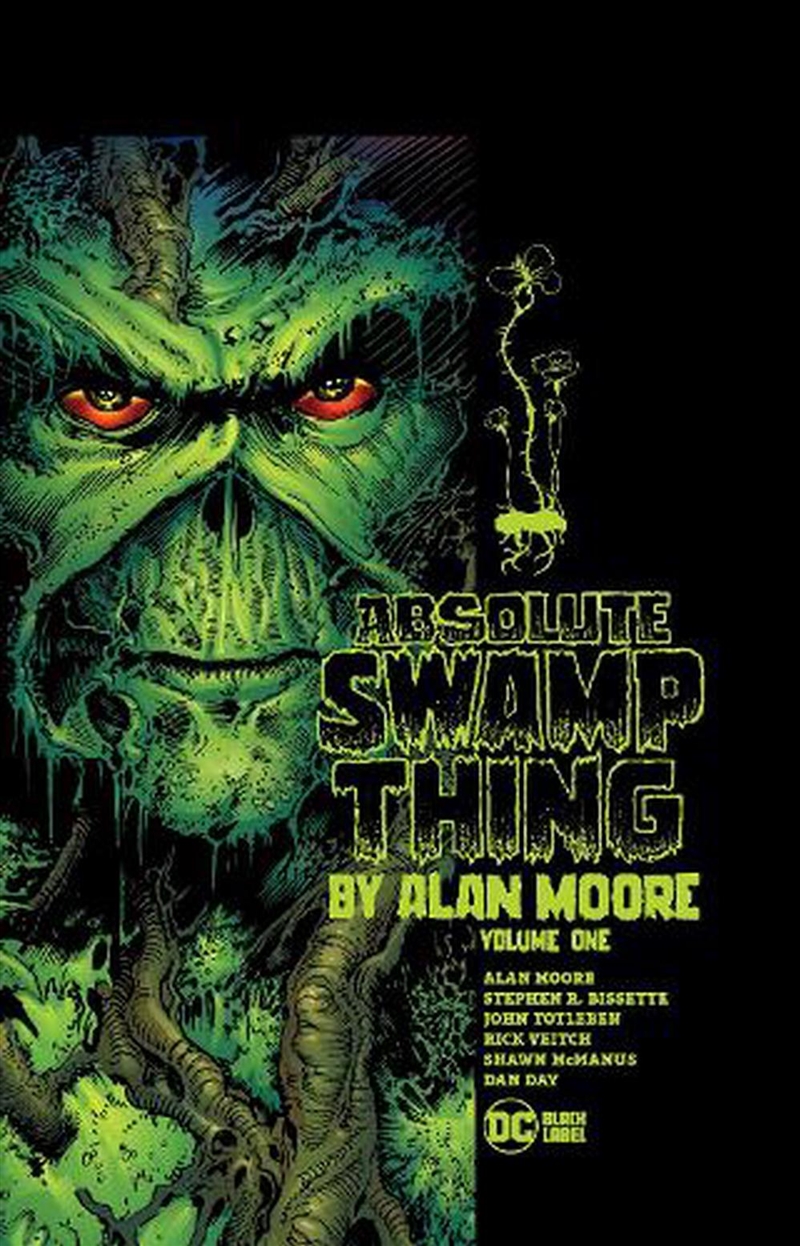 Absolute Swamp Thing By Alan Moore Vol 1/Product Detail/Graphic Novels