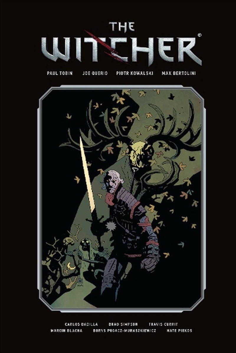 Witcher Library Edition Vol 1/Product Detail/Graphic Novels