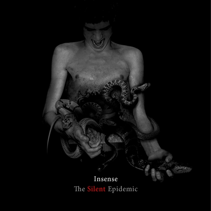 The Silent Epidemic/Product Detail/Rock/Pop