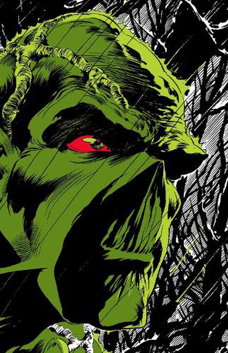 Absolute Swamp Thing By Len Wein & Berni/Product Detail/Graphic Novels