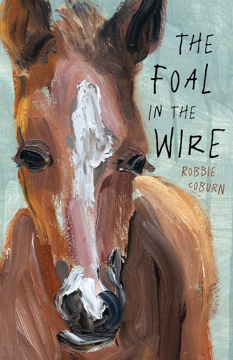 The Foal in the Wire/Product Detail/Childrens Fiction Books