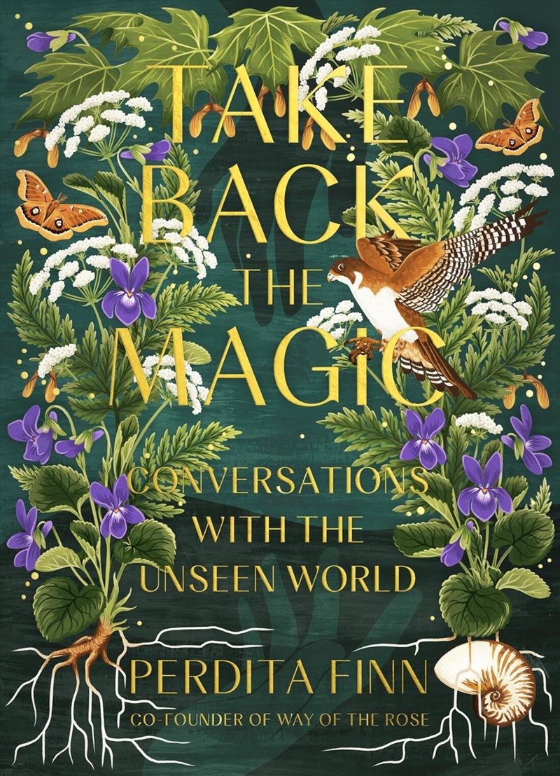 Take Back the Magic - Conversations with the Unseen World/Product Detail/Religion & Beliefs