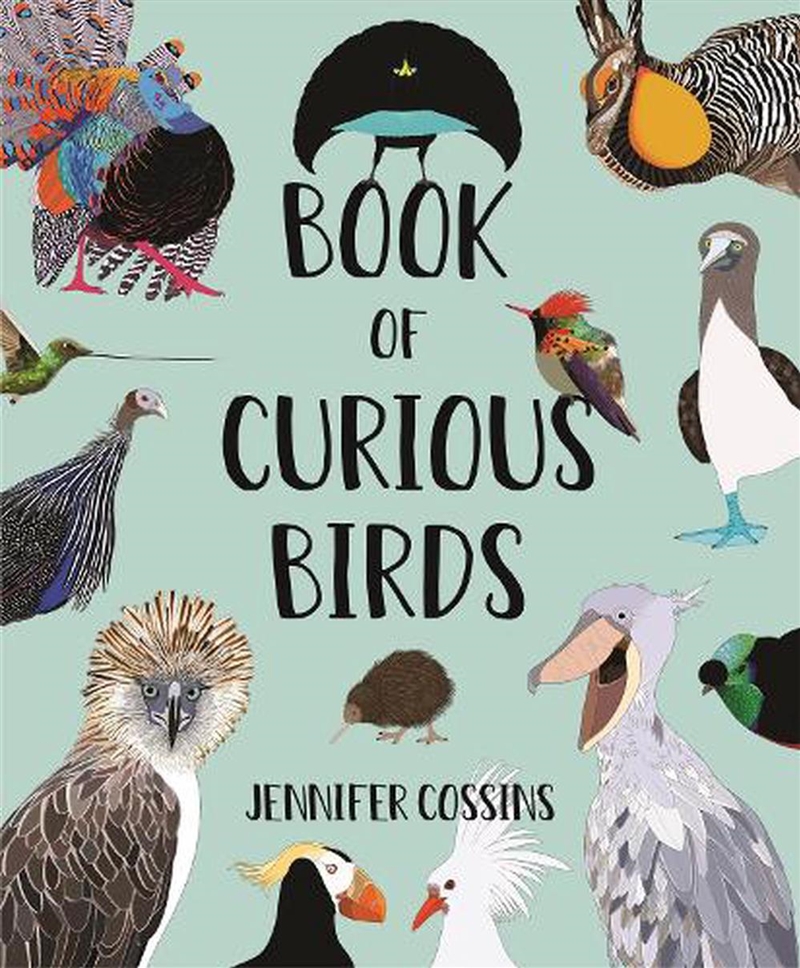 Book of Curious Birds/Product Detail/Early Childhood Fiction Books