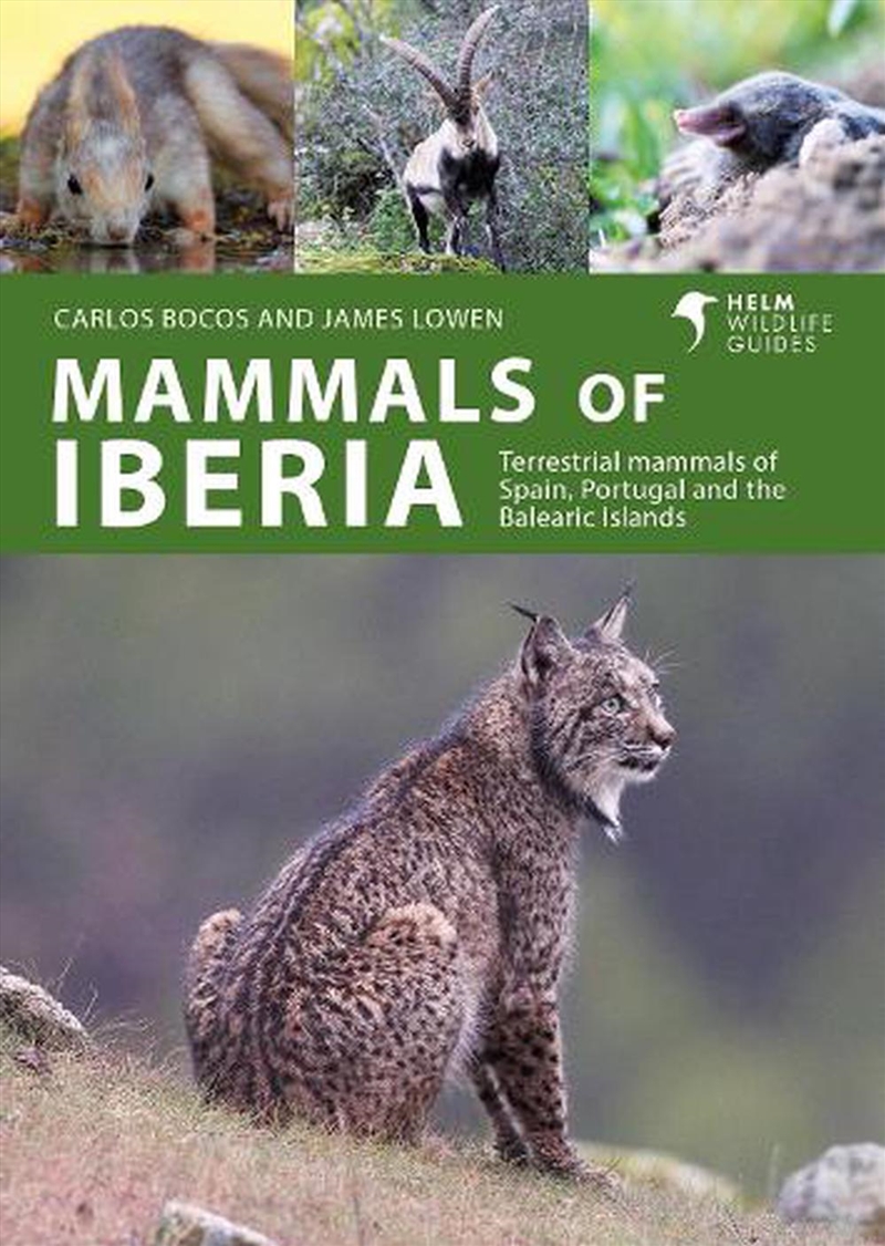 Mammals of Iberia: Terrestrial mammals of Spain, Portugal and the Balearic Islands/Product Detail/Animals & Nature