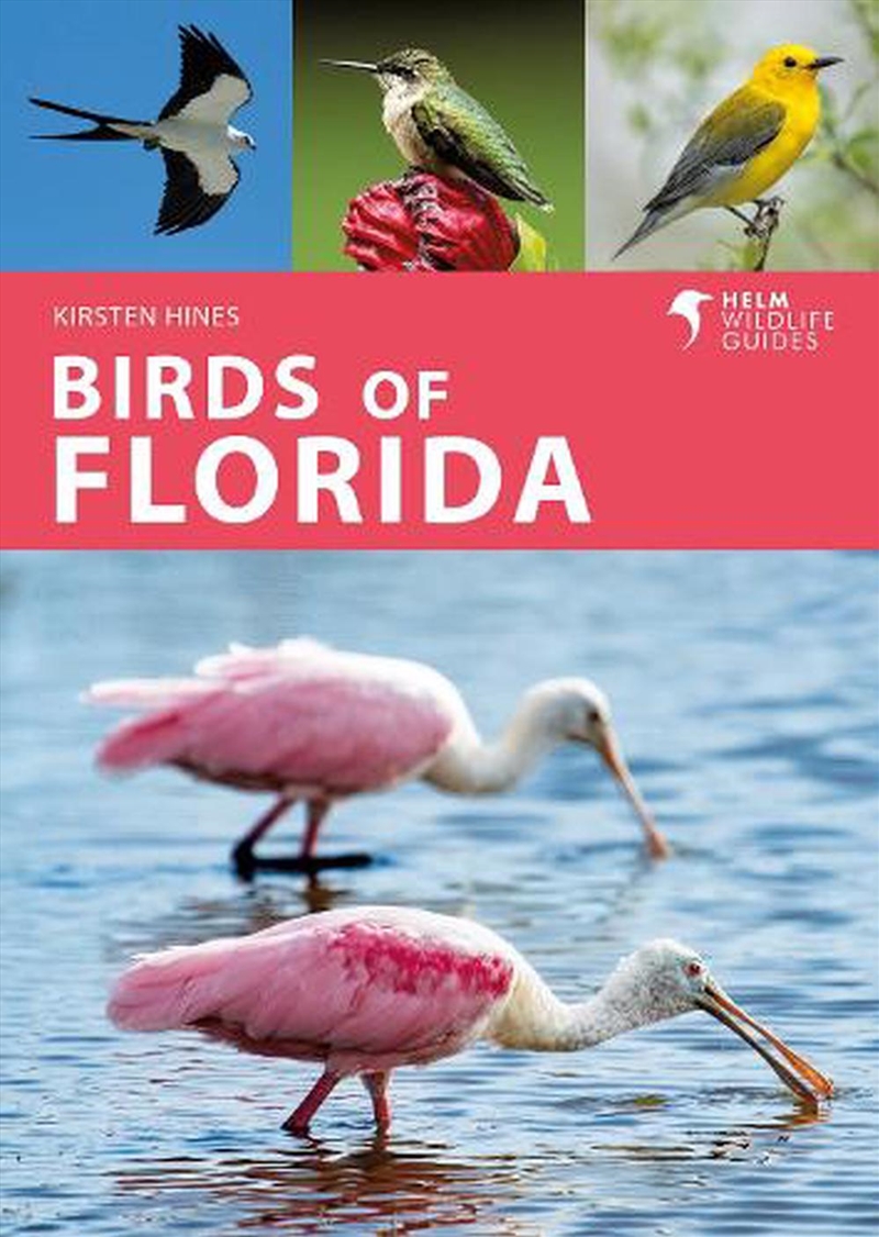 Birds of Florida/Product Detail/Animals & Nature