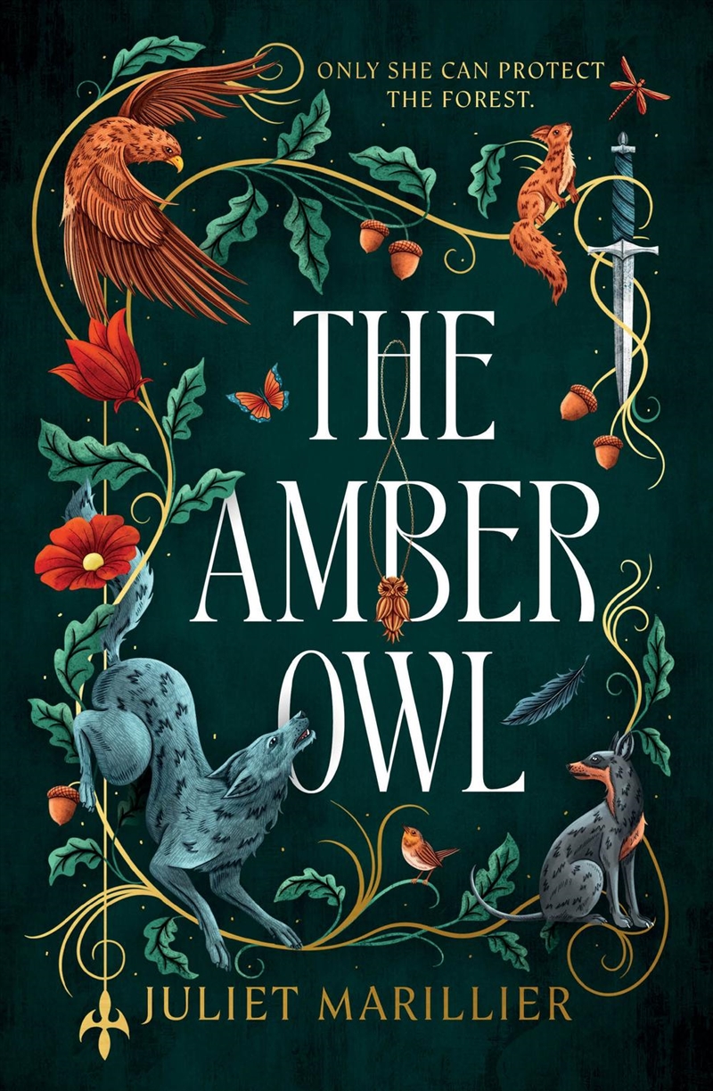 The Amber Owl/Product Detail/Fantasy Fiction