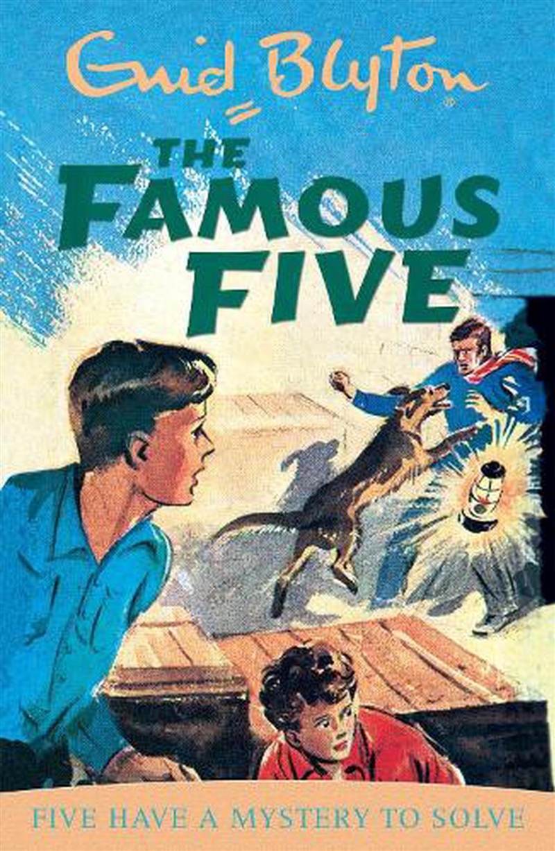 Famous Five: Five Have A Myste/Product Detail/Childrens Fiction Books