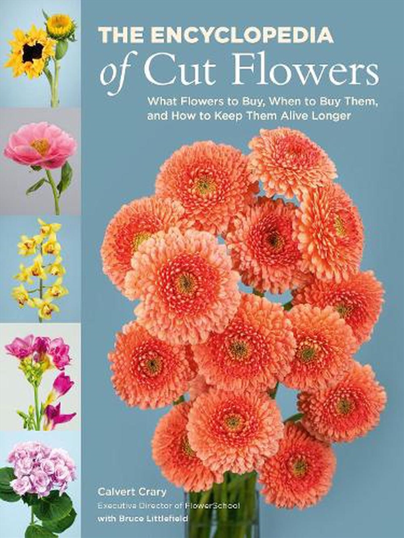 The Encyclopedia Of Cut Flower/Product Detail/Crafts & Handiwork