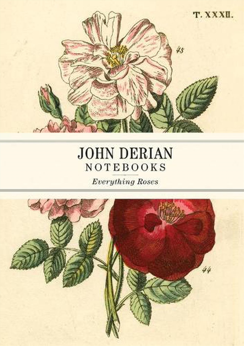 John Derian Paper Goods: Every/Product Detail/Notebooks & Journals