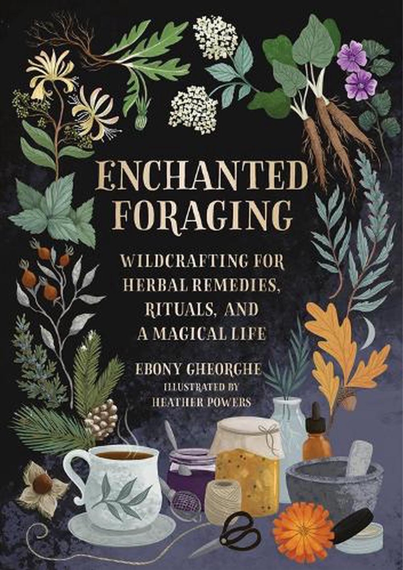 Enchanted Foraging/Product Detail/Religion & Beliefs