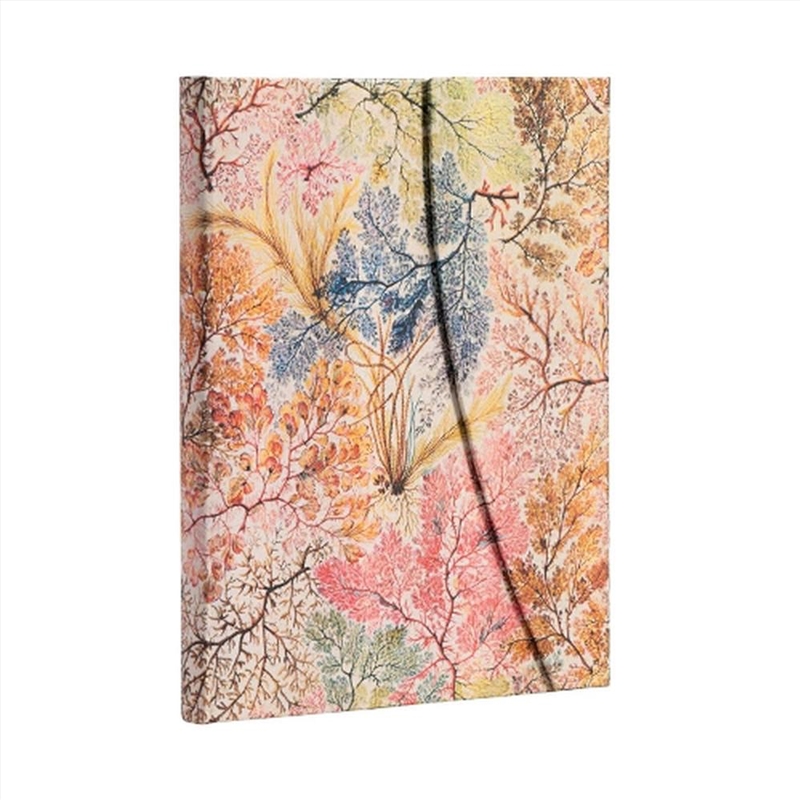 Anemone Lined Hardcover Journal/Product Detail/Notebooks & Journals