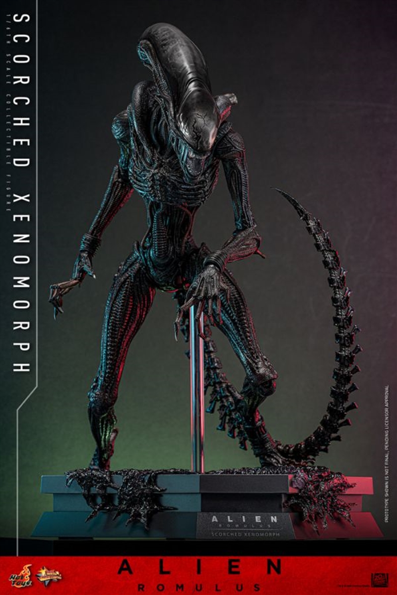 Alien: Romulus - Scorched Xenomorph 1:6 Scale Collectable Action Figure/Product Detail/Figurines