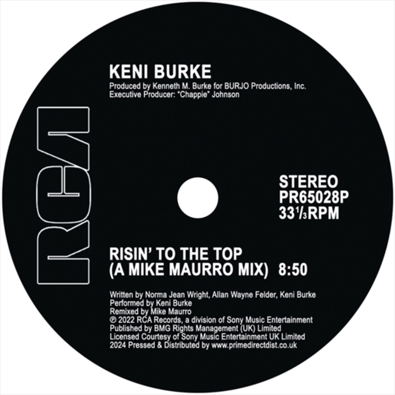 Risin To The Top - A Mike Maurro Mix / Im In Love - A Mike Maurro Mix/Product Detail/Dance