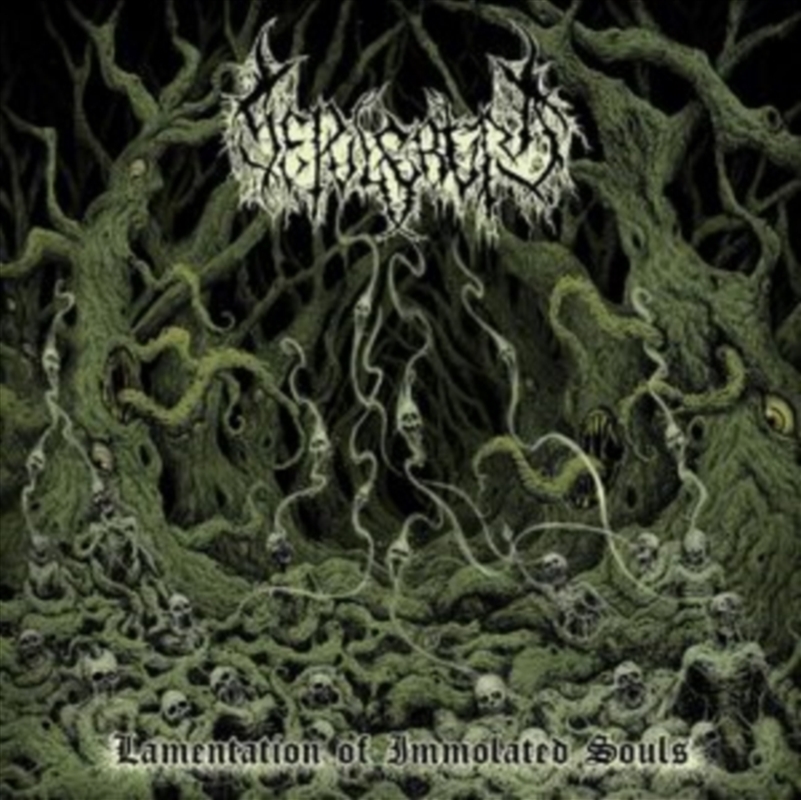 Lamentation Of Immolated Souls/Product Detail/Rock/Pop