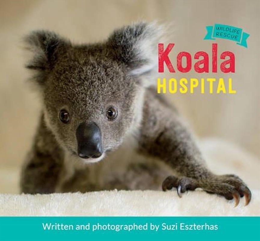 Koala Hospital/Product Detail/Early Childhood Fiction Books