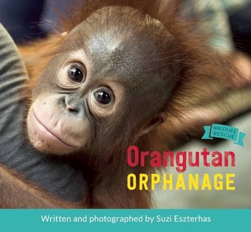 Orangutan Orphanage/Product Detail/Early Childhood Fiction Books