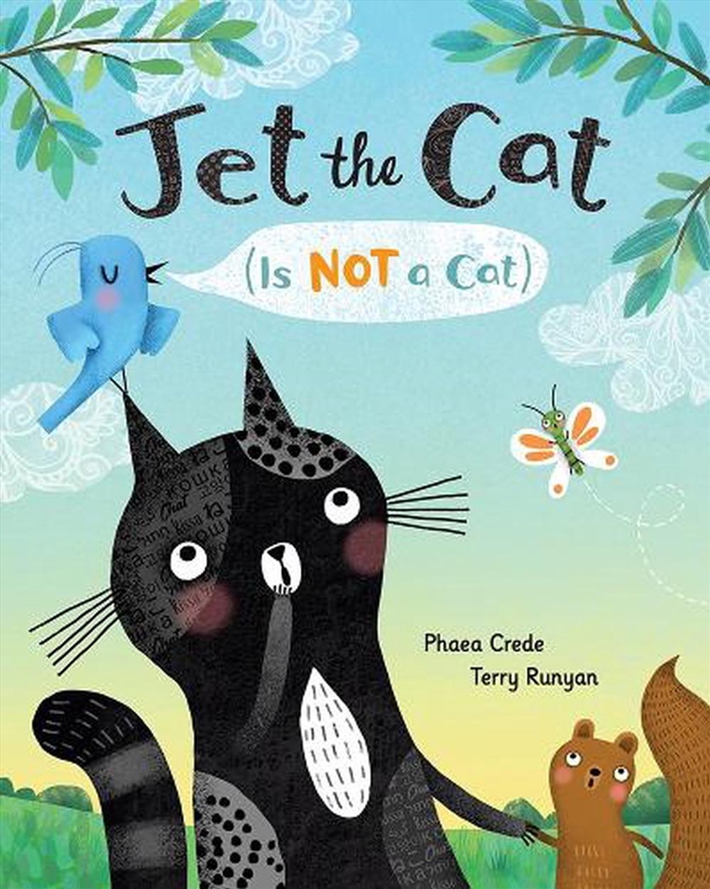 Jet the Cat (Is Not a Cat)/Product Detail/Early Childhood Fiction Books