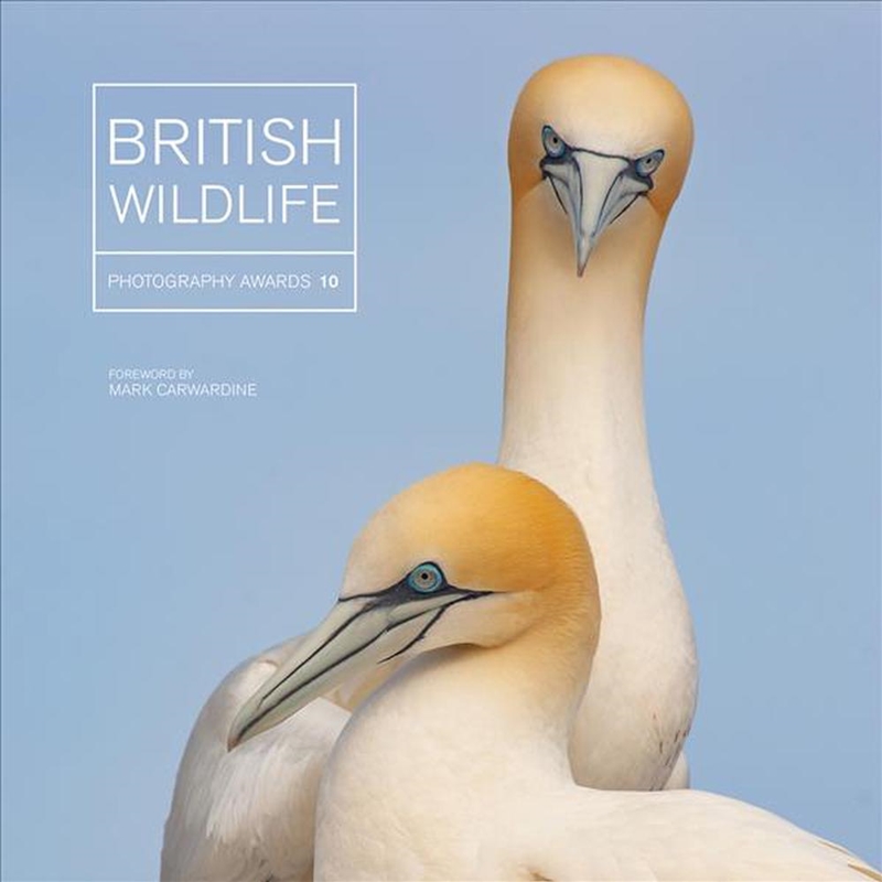 British Wildlife Photography Awards 10/Product Detail/Photography