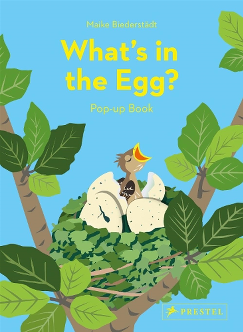 What's in the Egg?: Pop-Up Book/Product Detail/Early Childhood Fiction Books