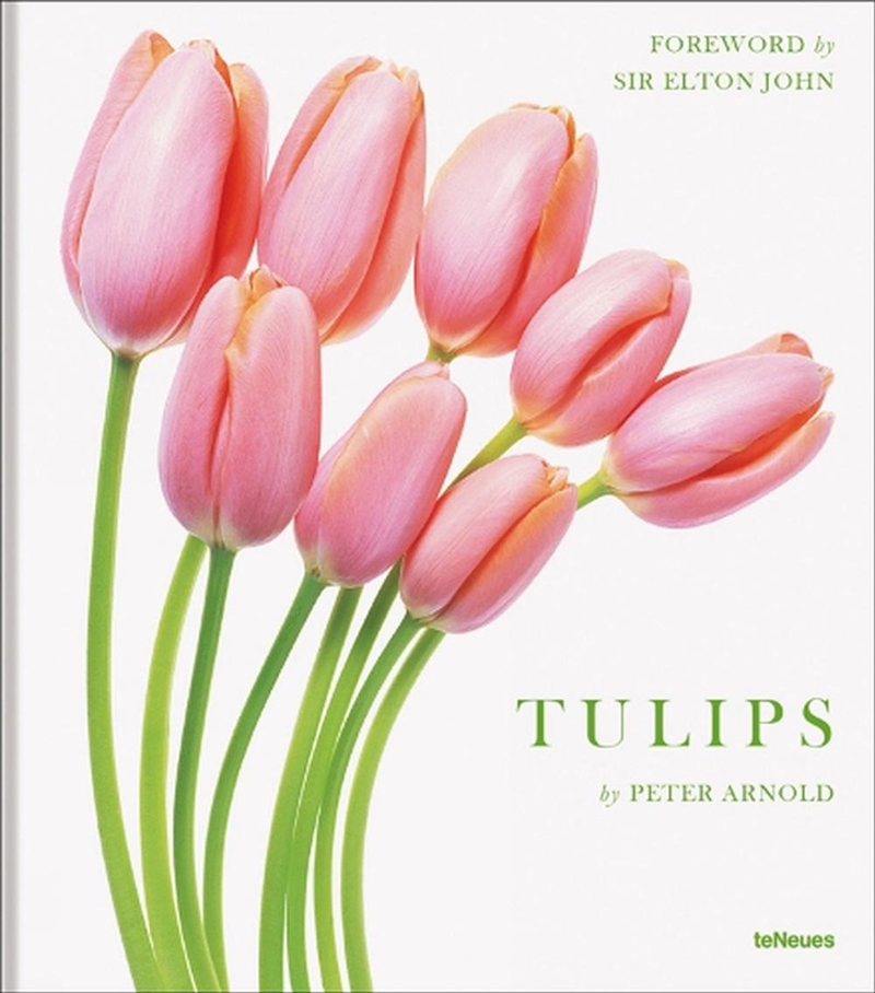 Tulips/Product Detail/Photography