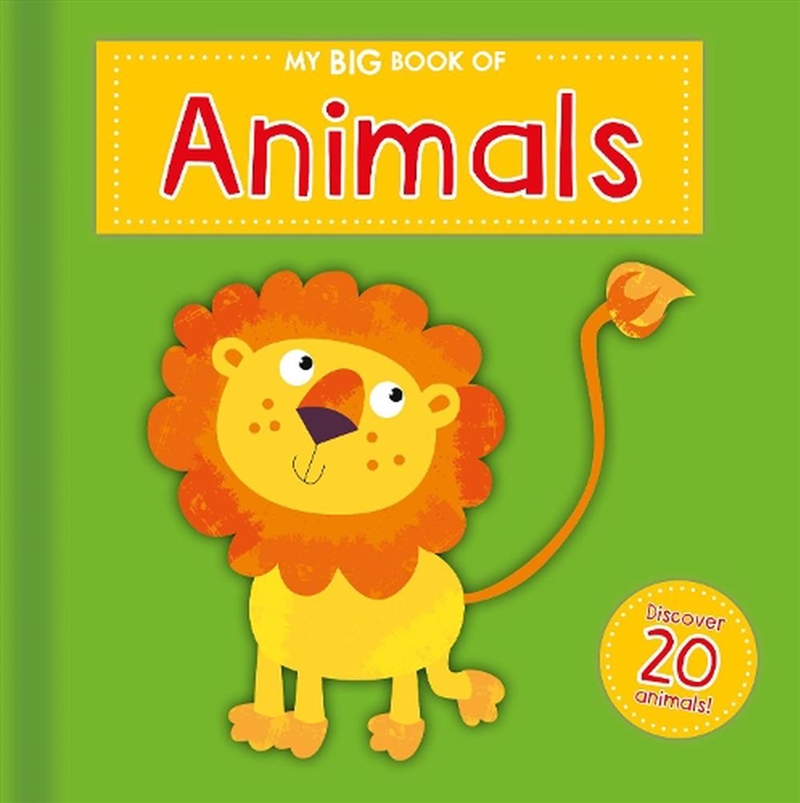 My Big Book of Animals/Product Detail/Early Childhood Fiction Books