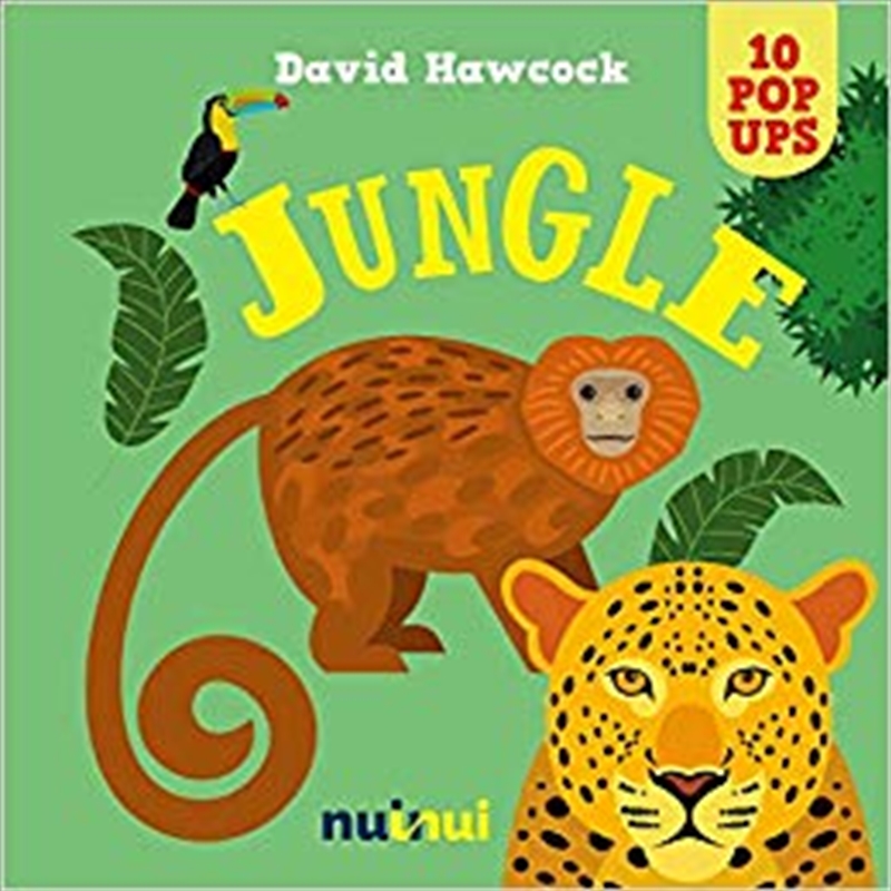 10 Pop Ups: Jungle/Product Detail/Early Childhood Fiction Books