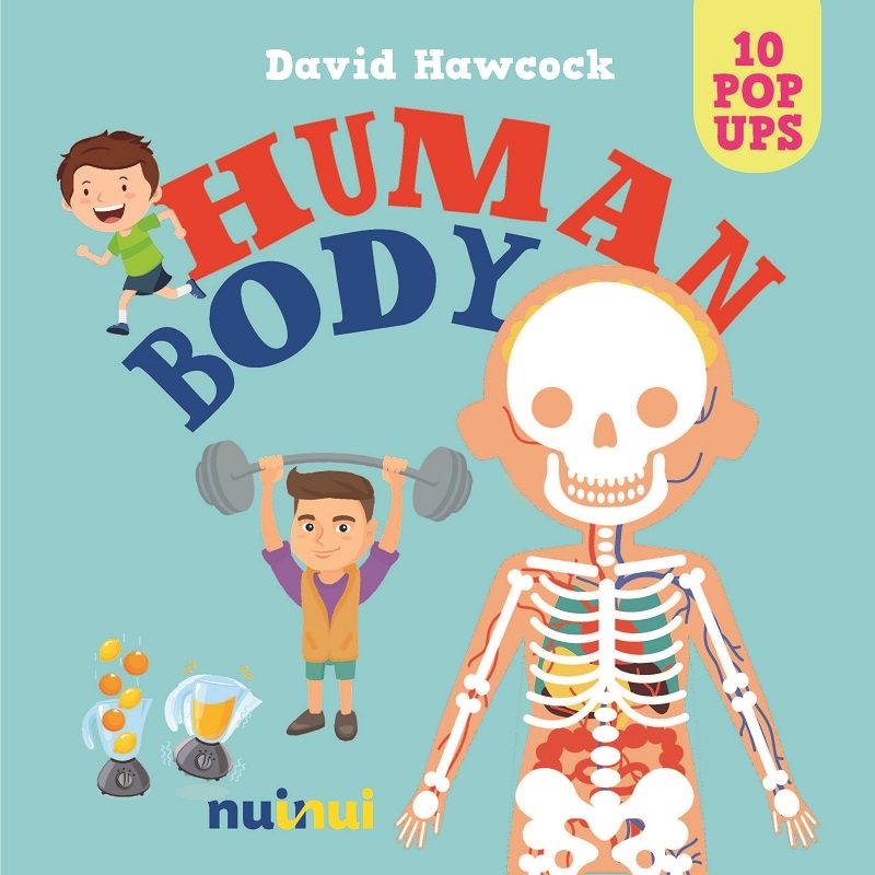 10 Pop Ups: Human Body/Product Detail/Early Childhood Fiction Books