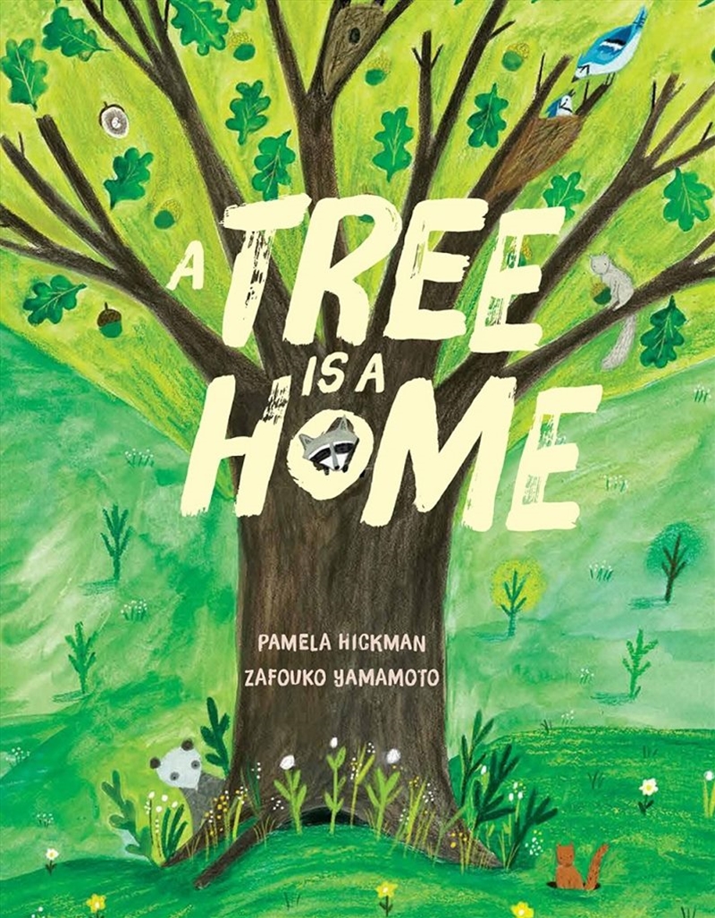 A Tree Is a Home/Product Detail/Early Childhood Fiction Books