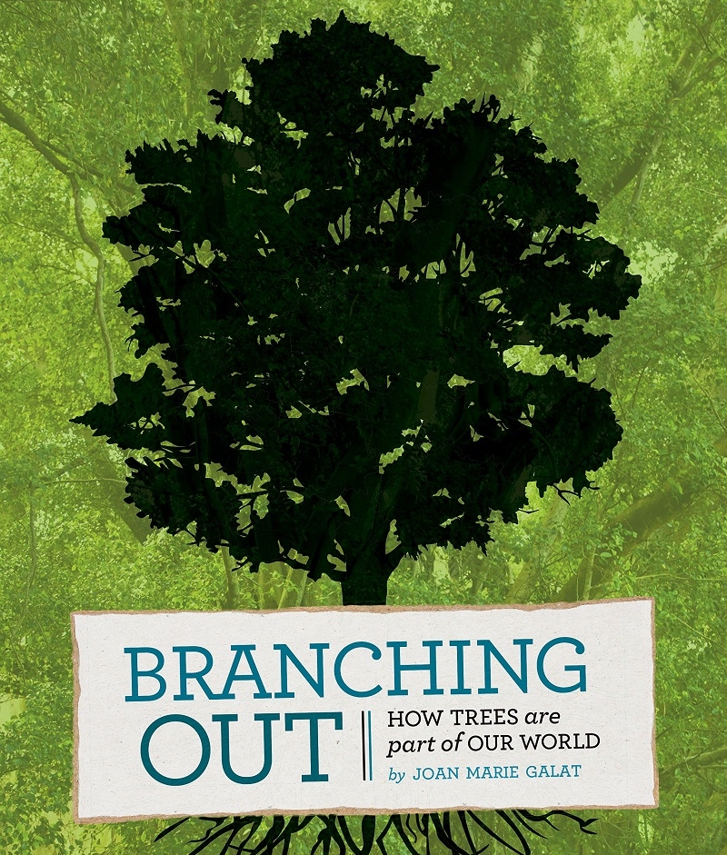 Branching Out: How Trees Are a Part of Our World/Product Detail/Early Childhood Fiction Books