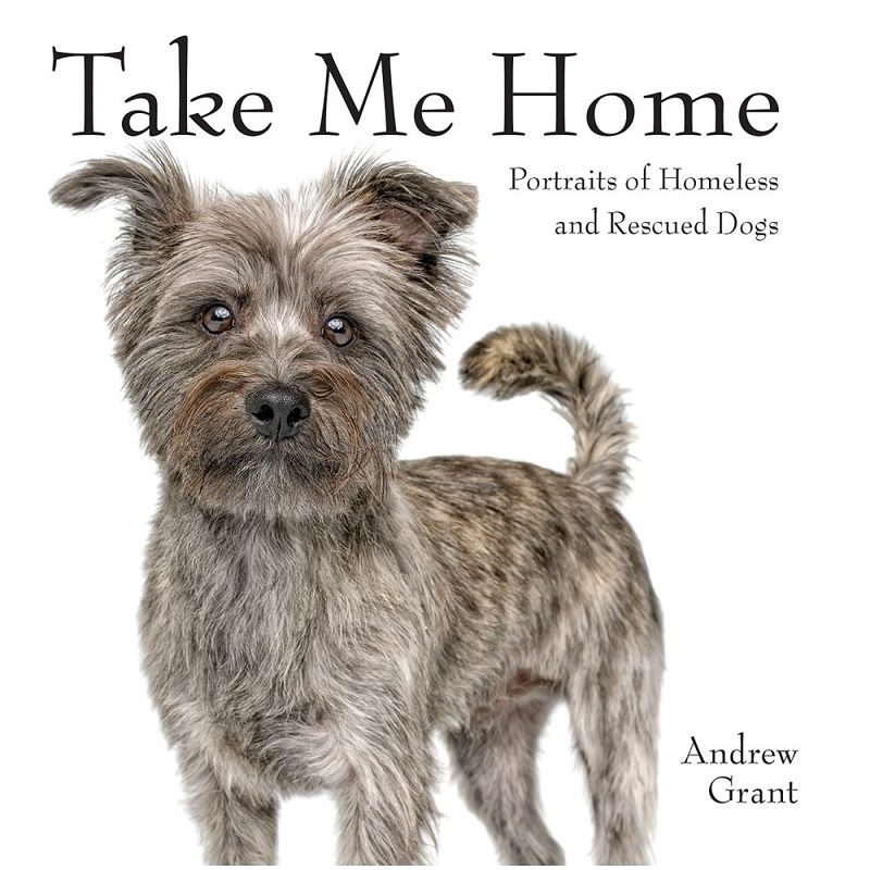 Take Me Home: Portraits of Homeless and Rescued Dogs/Product Detail/Photography