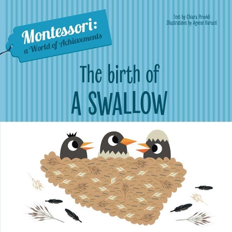 Birth of a Swallow/Product Detail/Early Childhood Fiction Books