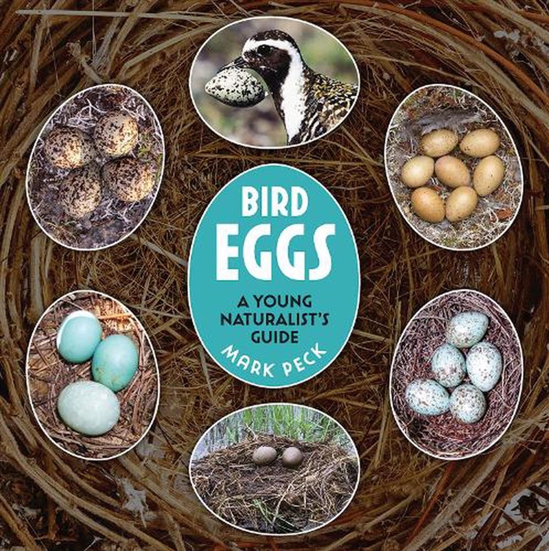 Bird Eggs - A Young Naturalist's Guide/Product Detail/Childrens