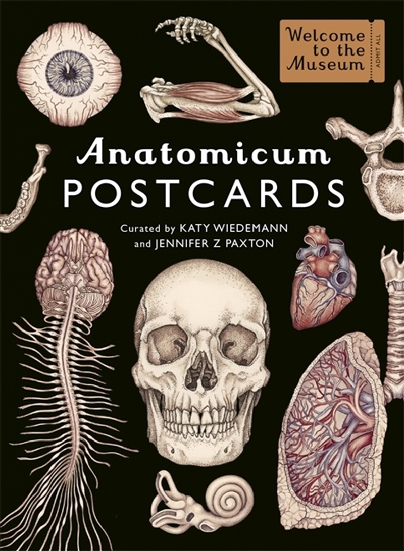 Anatomicum Postcard Box/Product Detail/Stationery