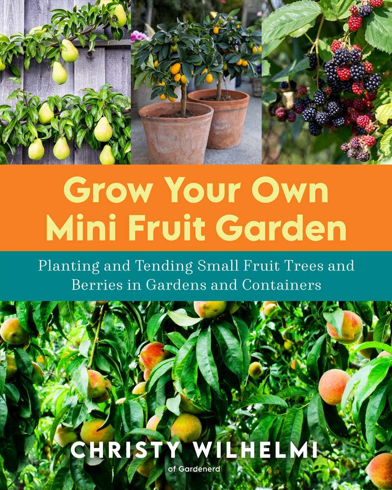 Grow Your Own Mini Fruit Garden/Product Detail/Gardening