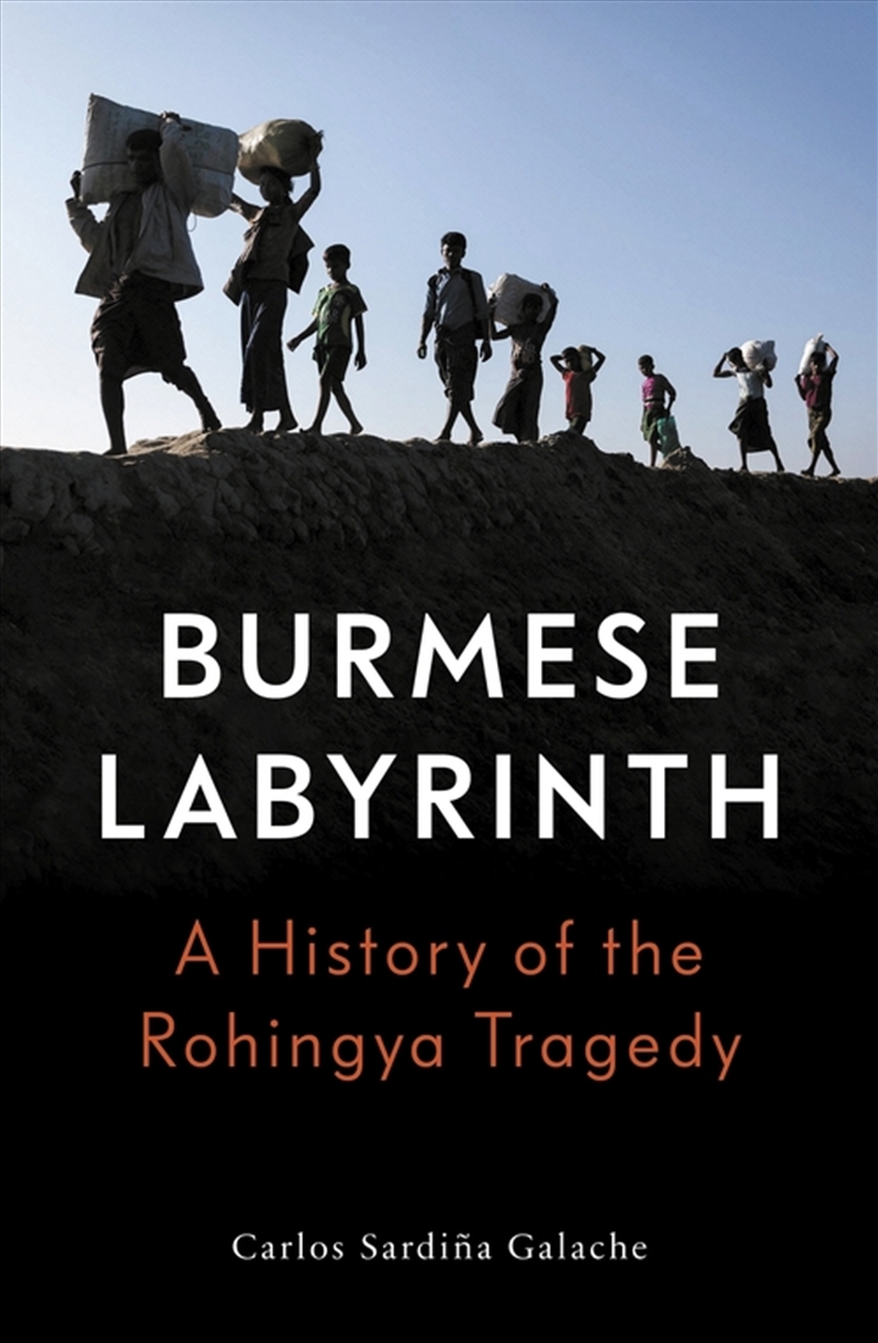 The Burmese Labyrinth/Product Detail/History