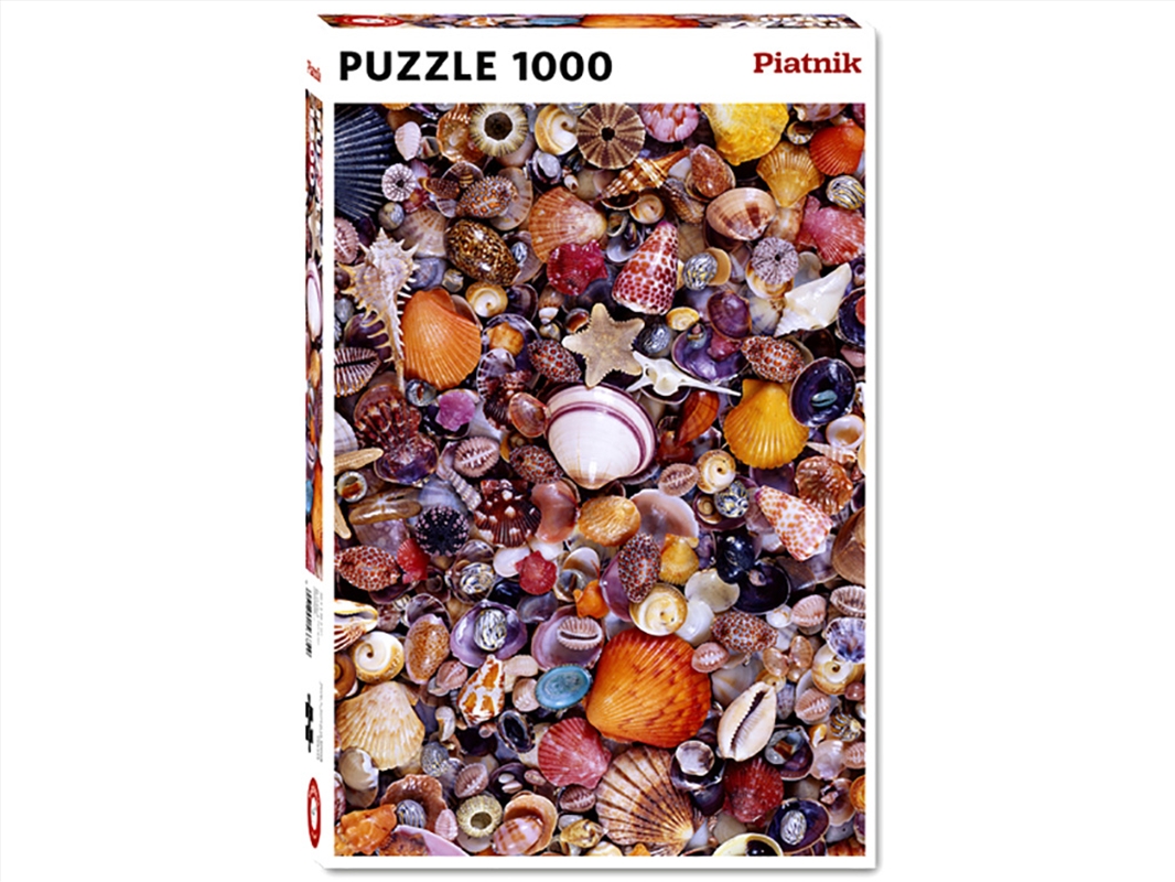 Sea-Shells 1000Pc/Product Detail/Jigsaw Puzzles