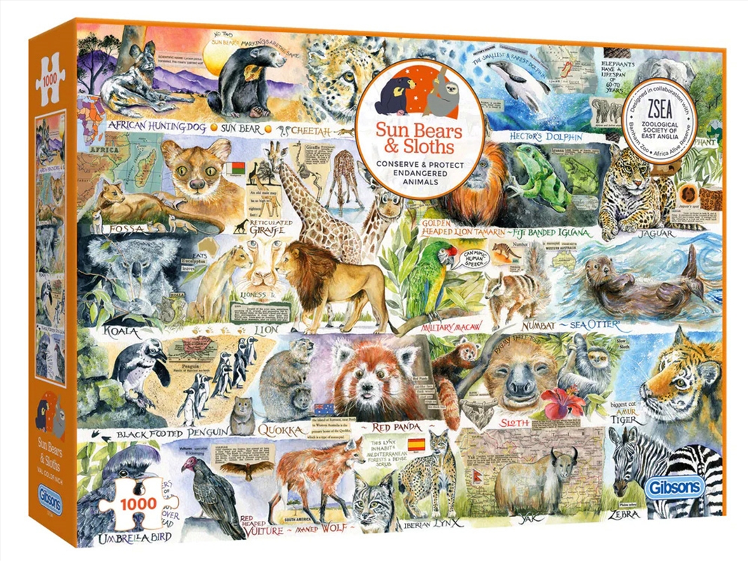 Sun Bears & Sloths 1000Pc/Product Detail/Jigsaw Puzzles