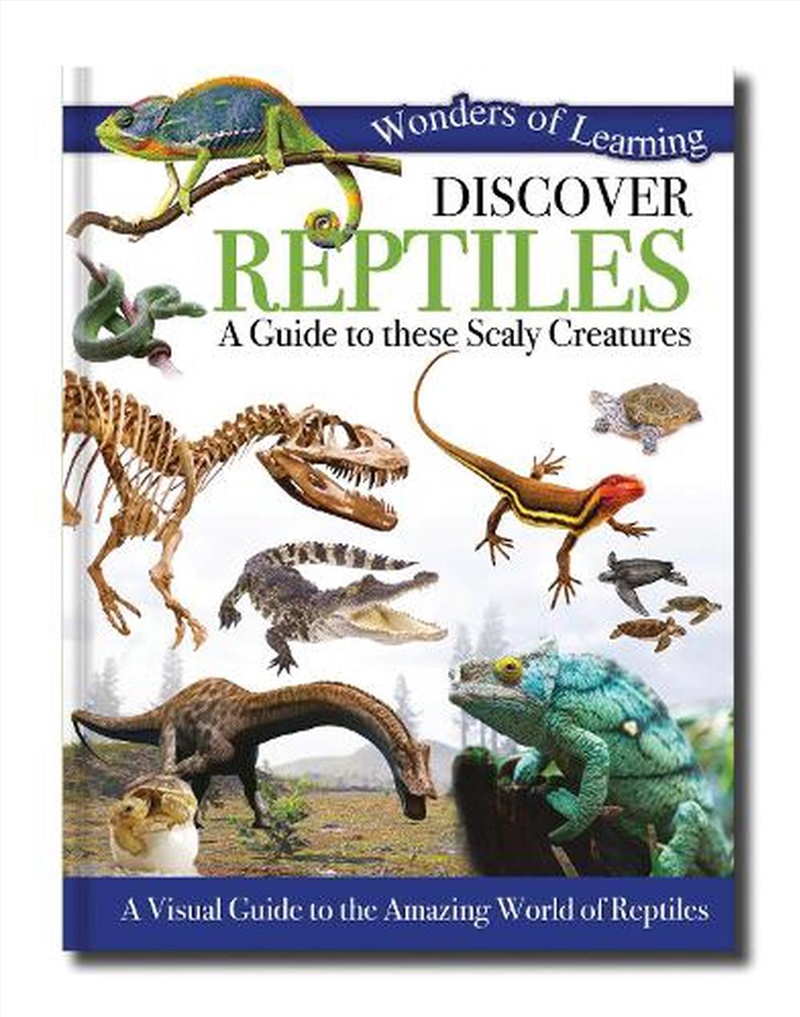 Wonders of Learning 48PP OMNIBUS - REPTILES/Product Detail/Children