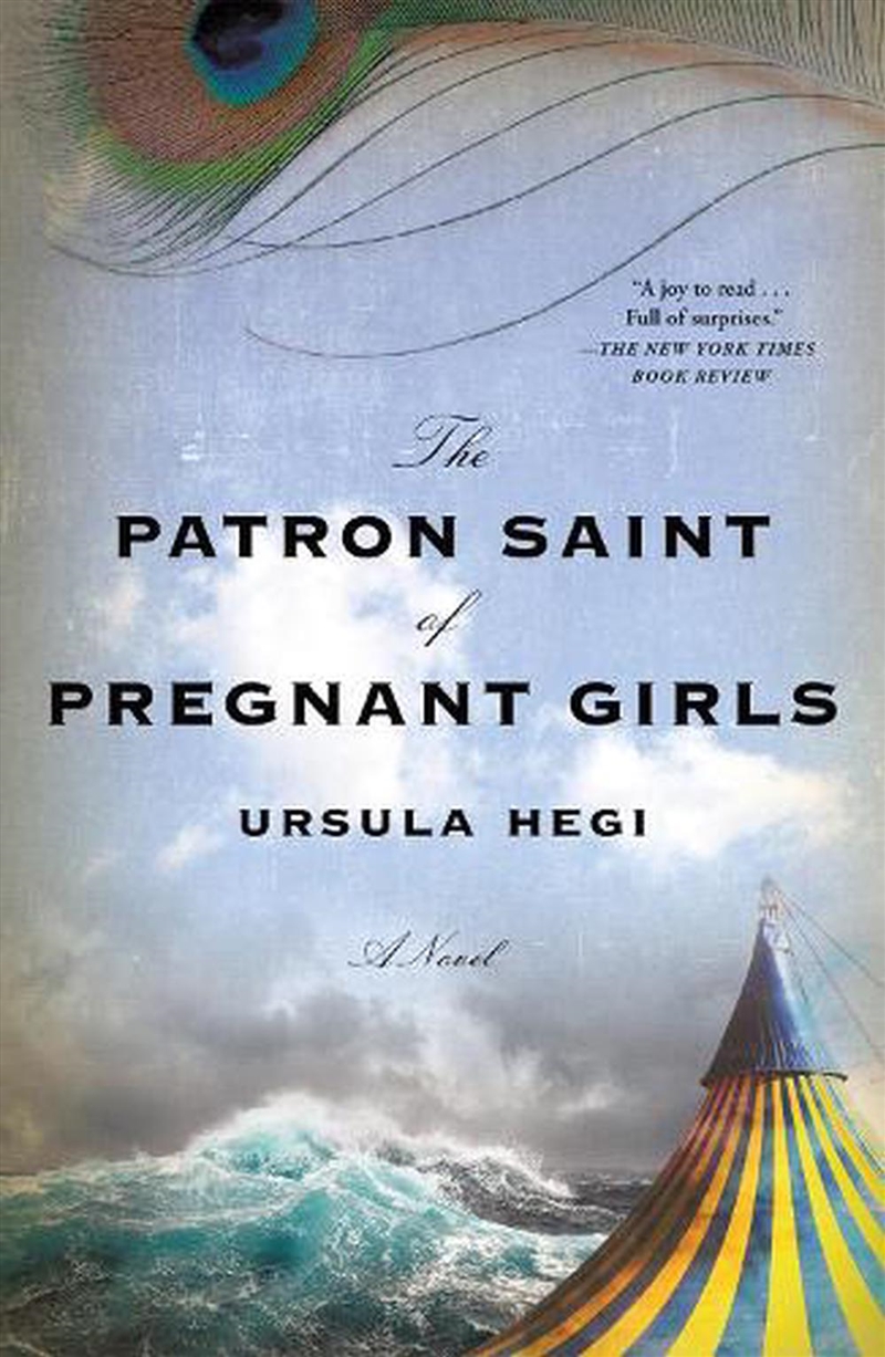 Patron Saint Of Pregnant Girls The/Product Detail/Historical Fiction